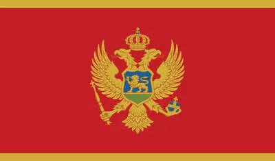 Montenegro flag