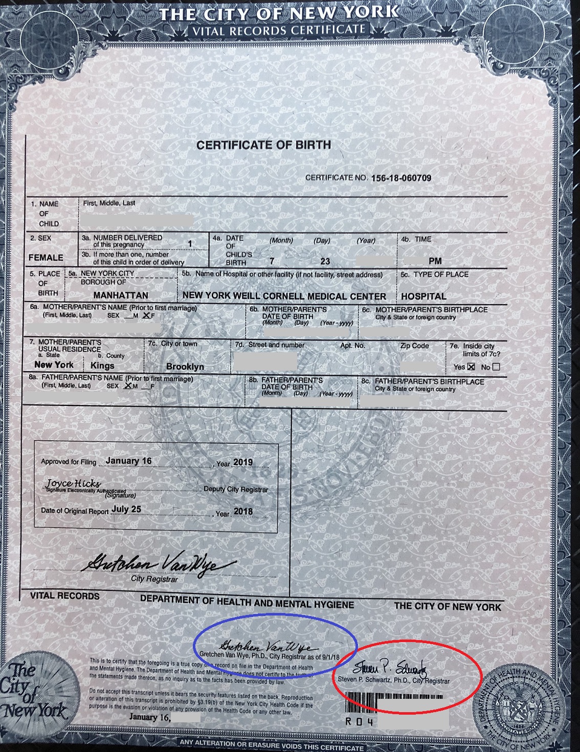 Apostille For New York Birth Certificate Foreign Documents Express 
